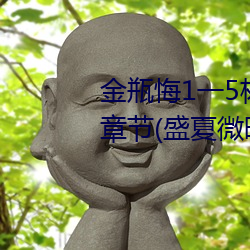 金瓶悔1一5楊思敏完整版舍最新章節(盛夏微暗)