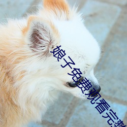 娘子免費觀看完整版高清