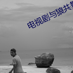 电视(shì)剧与狼共舞第二部全集