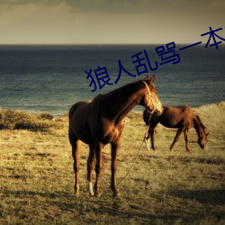 狼人乱骂一本之道
