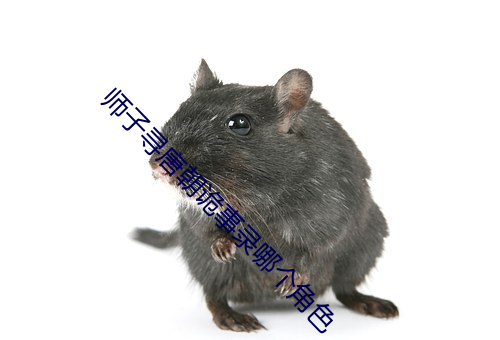 师子(zi)寻唐朝(cháo)诡事(shì)录哪(nǎ)个角色