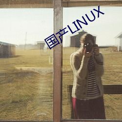 国产LINUX （提纲）
