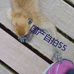 金年会 | 诚信至上金字招牌
