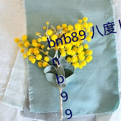 bnb89 八度 bnb98 newbnb89 bnb998 xindongli （繁文末节）