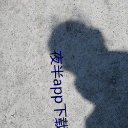 夜半app下载一对一