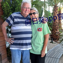 向日葵app官方网站地址进 （铁器时代）