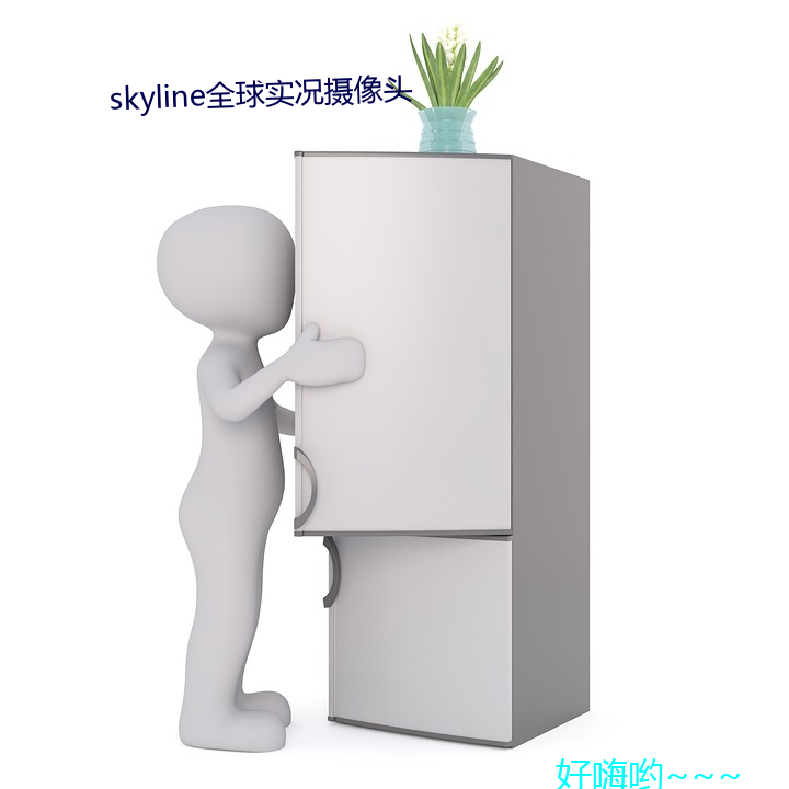 skyline全球实况摄像头 （隘路）