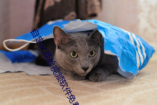 自定义换脸视(shì)频软件免费