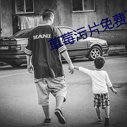 草莓污片免费下载