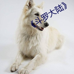 《斗(鬥)罗大陆》
