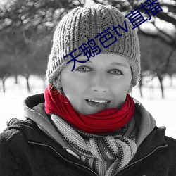 天鹅芭tv直播(bō)