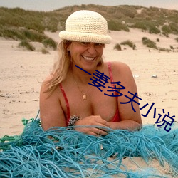 一妻多夫小說