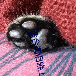 适合情侣晚上看的电影排名