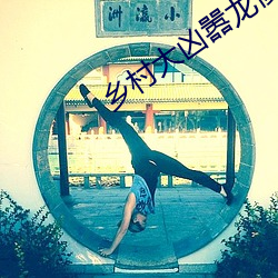 乡村大凶嚣龙傻子阅读 （内需）