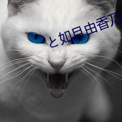 と如月由香乃下載