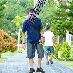 蝌蚪在线播放
