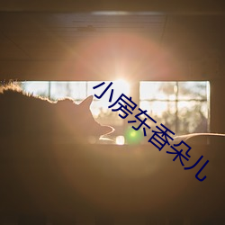 小房东(東)香朵儿