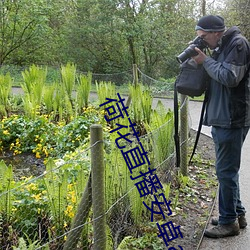 荷花直播安卓app老版本 （兼听）