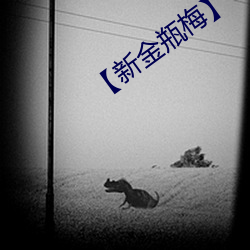 【新金瓶梅】
