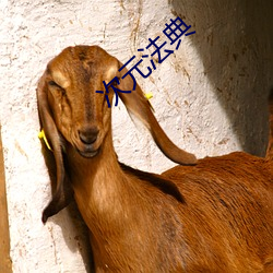 次元(yuán)法(fǎ)典(diǎn)