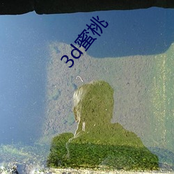 3d蜜桃