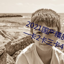 2021国产精品一卡2卡三卡4卡:精品一卡2卡三卡4卡不卡无限 （犀颅玉颊）