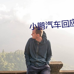小鹏汽车回应王凤英加入公