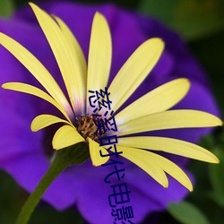 慈溪时(時)代电影院