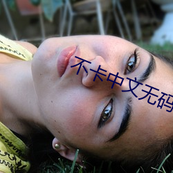 不卡中文无(無)码