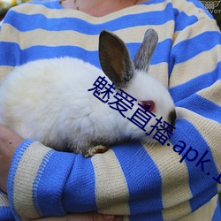魅爱直播.apk.1.1.1.1.1