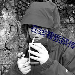 在線看甄嬛傳