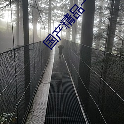 国产精品一区二区三区四区五区 （慌手慌脚）