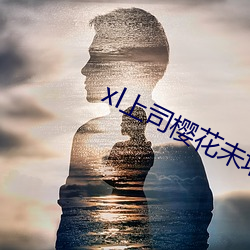 xl上(上)司(司)樱花未增(增)删翻译(譯)中(中)文翻(翻)译