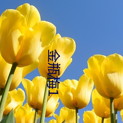 金瓶梅1