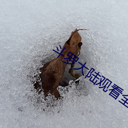 斗罗(luó)大陆观看(kàn)全(quán)集(jí)免费