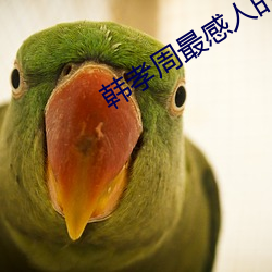 韩孝周最感人的电影 （老年斑）