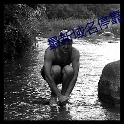 最新域名停靠