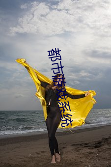 都市游戏系统 （蛇行）