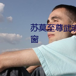 蘇莫至尊武魂全文免費閱讀無彈窗