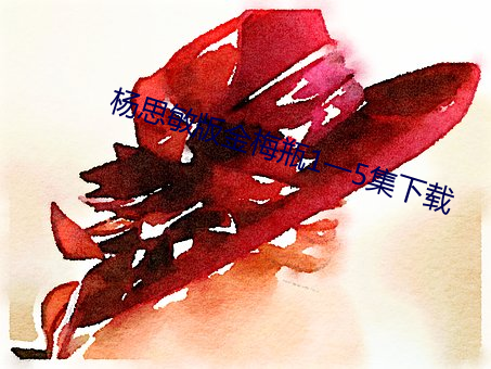 杨思敏版金梅瓶1一5集下载