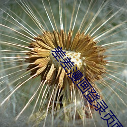 差差漫畫登錄頁面在線觀看