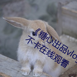 《糖心出品vlog传媒在(在)线看免费(費)》高(高)清不卡(卡)在线观(觀)看