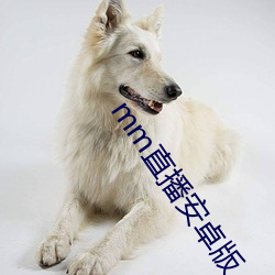 mm直播安卓版