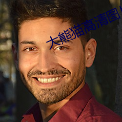 大熊猫高清图片