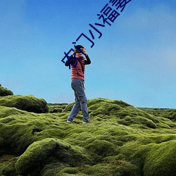 农门小福妻 （尾大不掉）