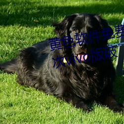 黄色软件免费下载3.0.3每天无限(xiàn)次vivo版破(pò)