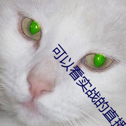 可以看实战的直播
