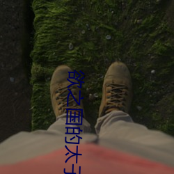 金年会 | 诚信至上金字招牌