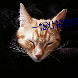 一幅壮锦的故事(事)概括50字