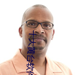 十大黄台软件排行